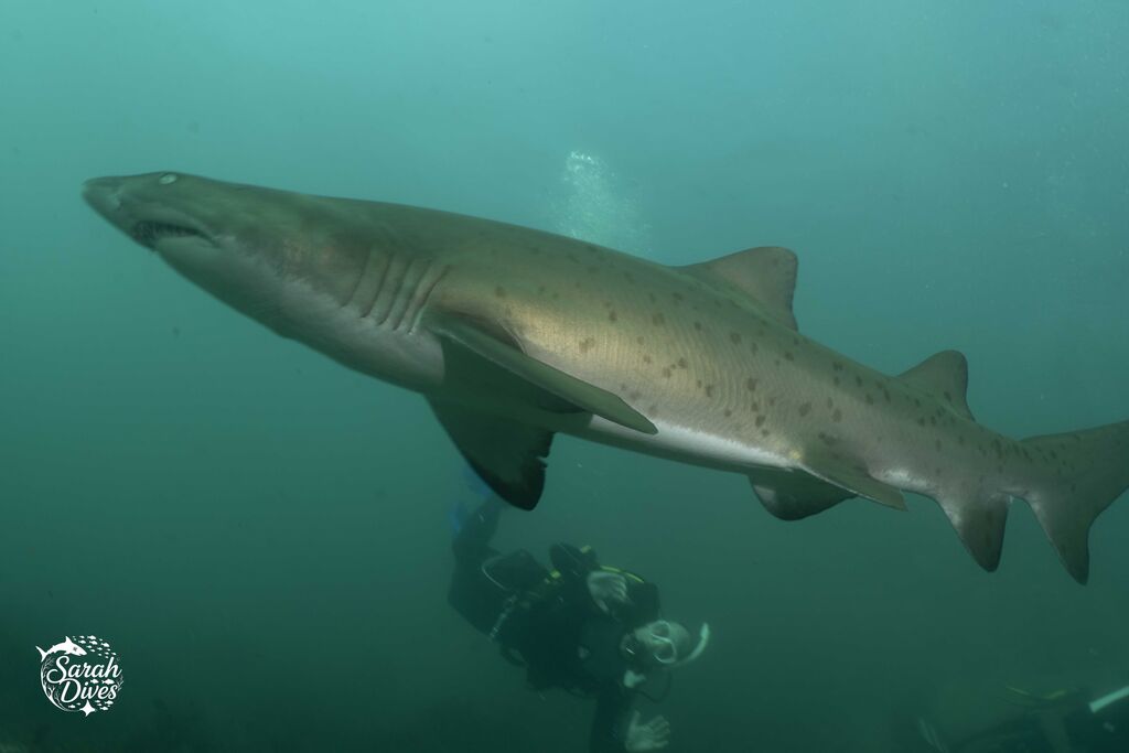 6ef87c3e-23d7-4b95-b8e2-eb48b7634623