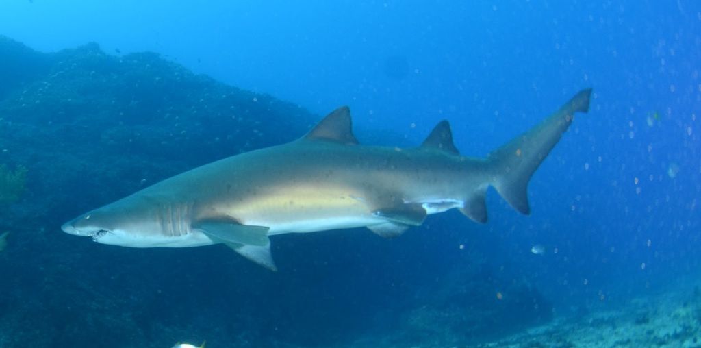 11ed38ce-5e56-4ce8-b77b-49d39b3eba2f