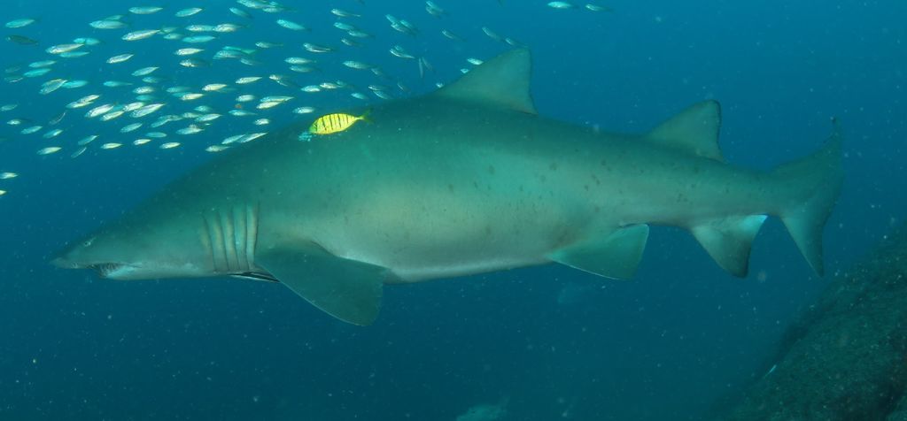 adf3567b-d41a-4323-8fe0-37f2b43dadc8