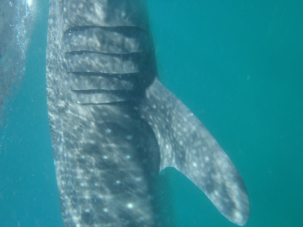 09ea06a3-5ad7-45d3-b86f-473a945226cc