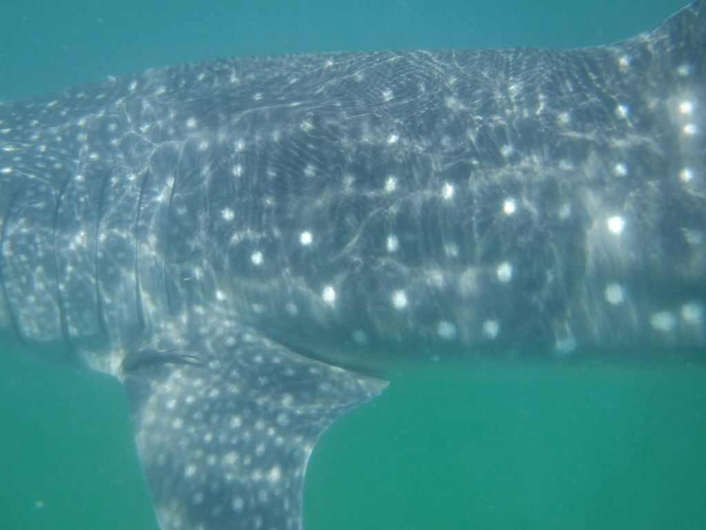 030b17f2-5b22-4ea2-a354-4f536a89ee59