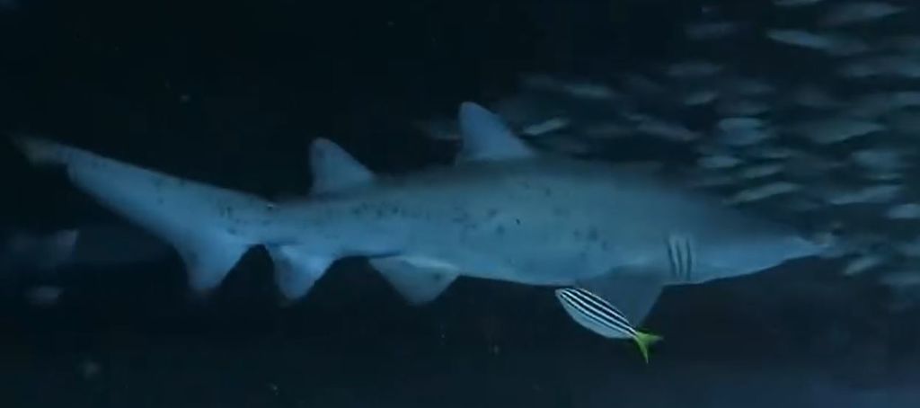 d7b2e744-9d3d-4827-bd7f-5e7e2215453f