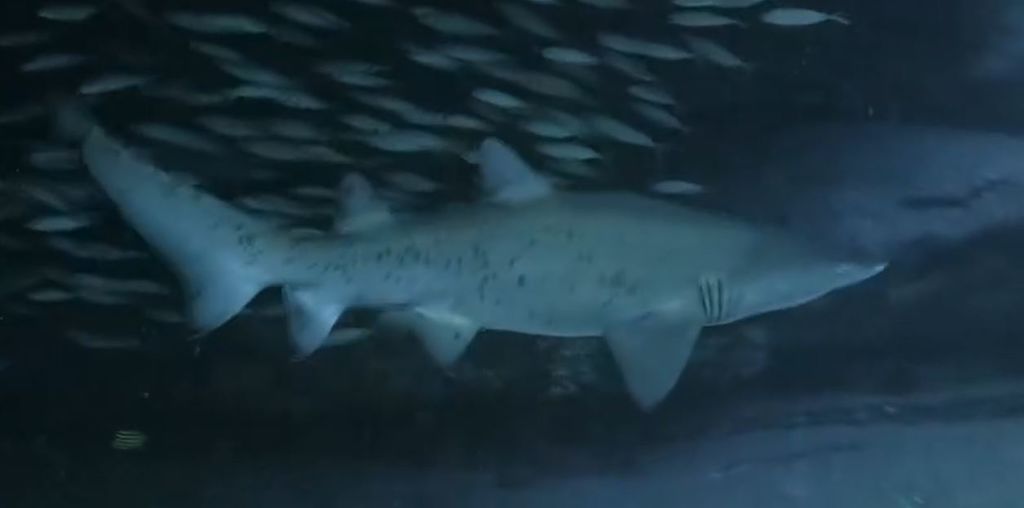 d7b2e744-9d3d-4827-bd7f-5e7e2215453f