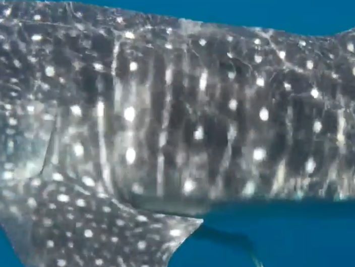 5c7ab070-a39f-4995-a814-42141259636d