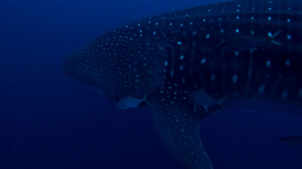 4b809364-25d8-42fa-b243-d3b1c3ce1c90