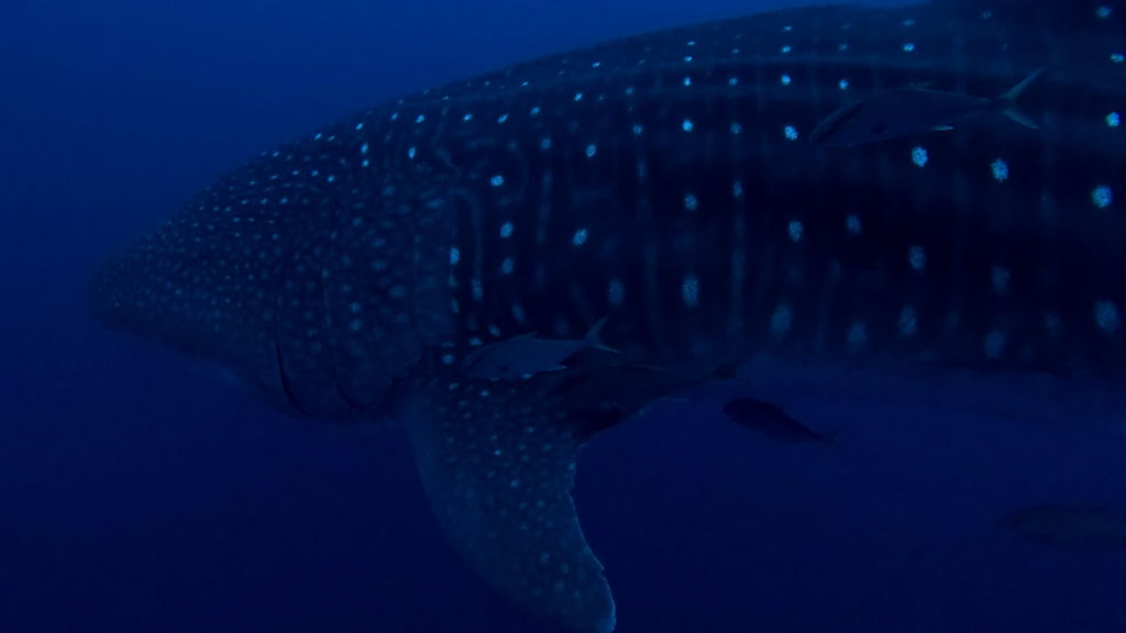 4b809364-25d8-42fa-b243-d3b1c3ce1c90