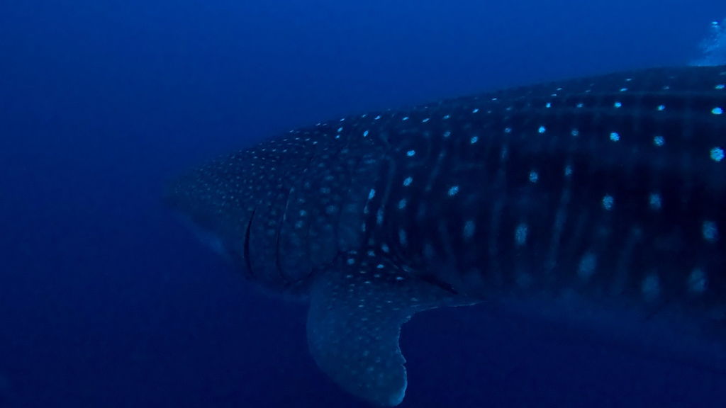 4b809364-25d8-42fa-b243-d3b1c3ce1c90