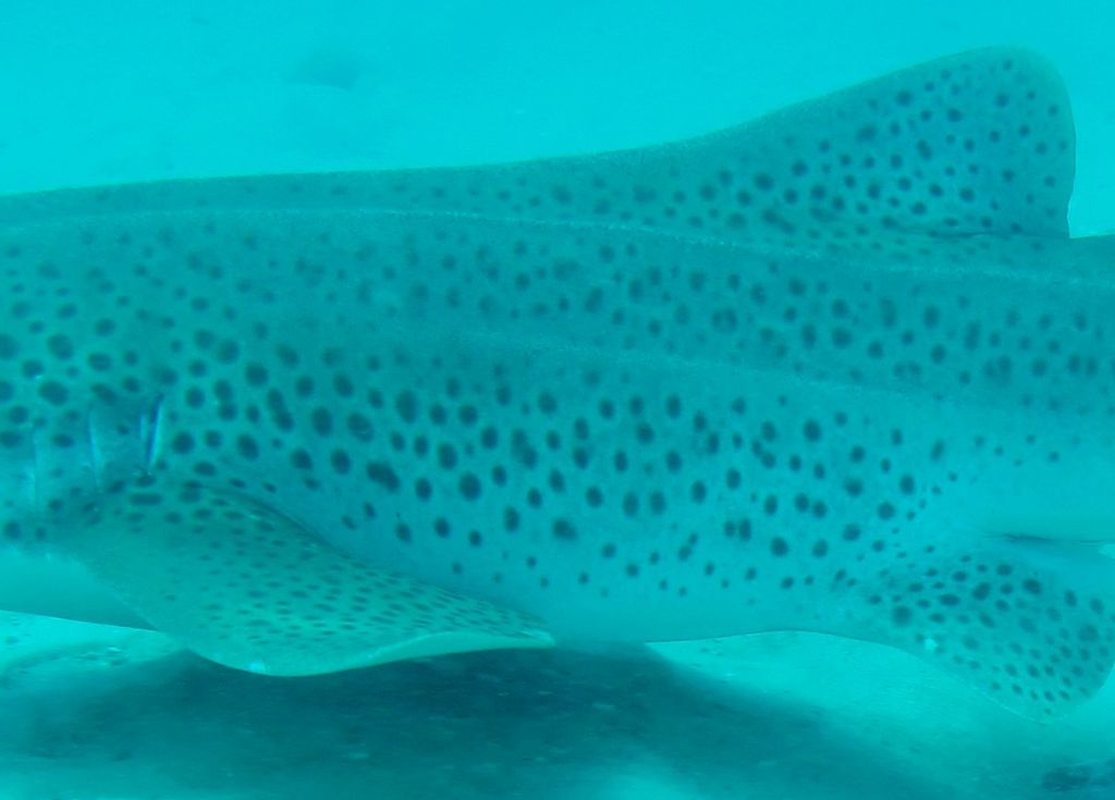 bd559ea7-6c10-4976-bde5-ff3ee66fa602