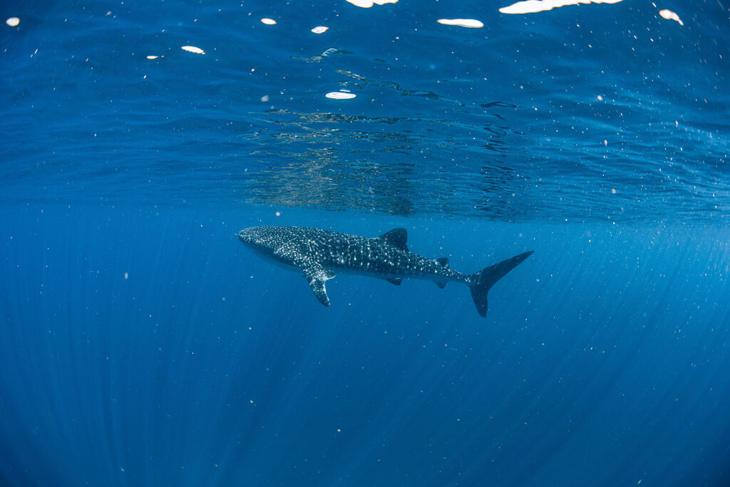 dd6d8dce-a3c8-48fa-bb98-49307a0dfec2