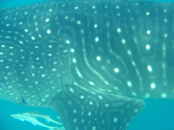 cb0d4281-dff9-47db-8f8a-69de20847e58