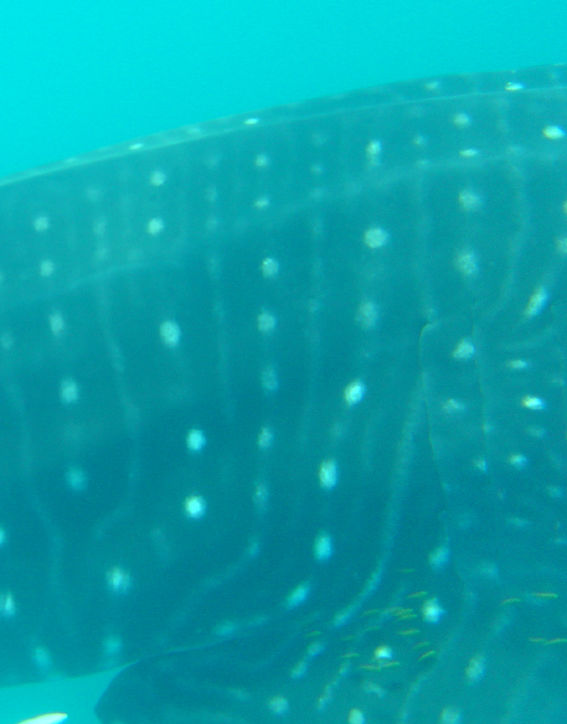 cb0d4281-dff9-47db-8f8a-69de20847e58