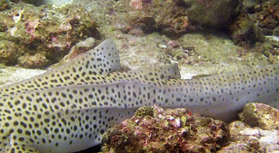 69b58883-adc0-4932-9a39-02669c4e0e5e