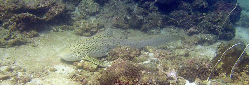 69b58883-adc0-4932-9a39-02669c4e0e5e