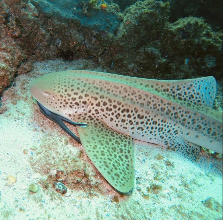 86eccdcb-7a22-41e9-b16e-283e408b0263