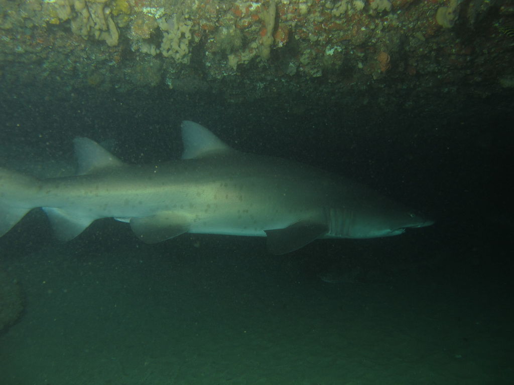 779bc71d-bfcb-4e01-8084-0d92451f4195