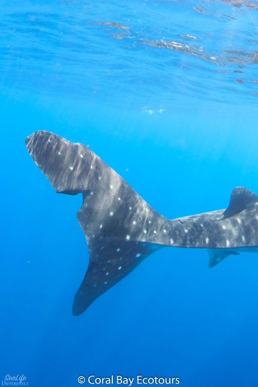 41068e27-2dc0-41a9-b283-5d92e9fea1ad