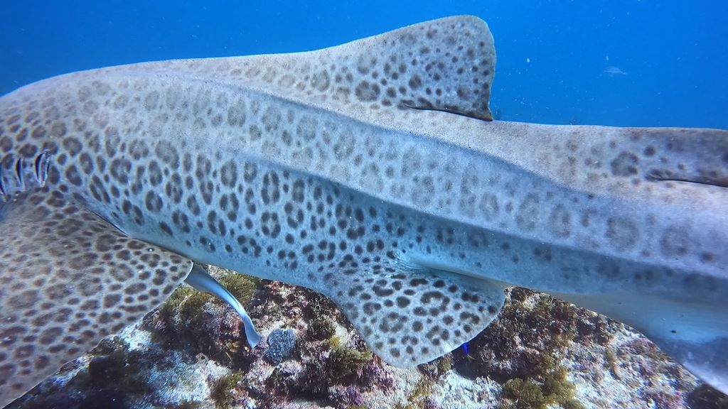 f9e10667-a551-4ca1-aa2b-fb8403cdd366