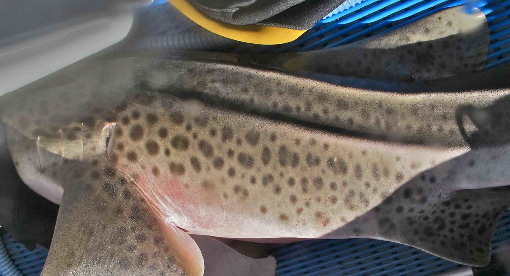 b484bbcb-3d05-4d9b-94bf-a09d58636758