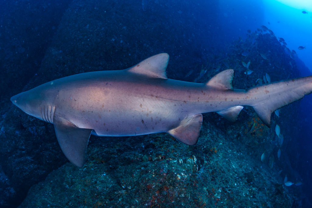 72217ea3-4a96-43d4-84df-198fd8acb00e