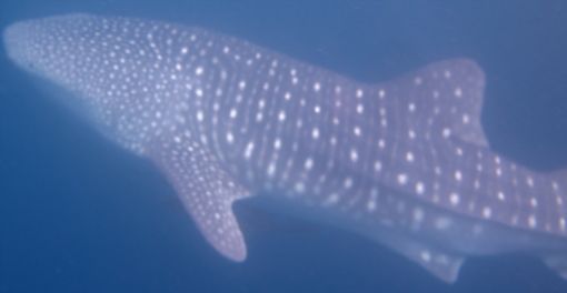 8a09a962-79e8-4d7a-a7bb-e7d95527eecc