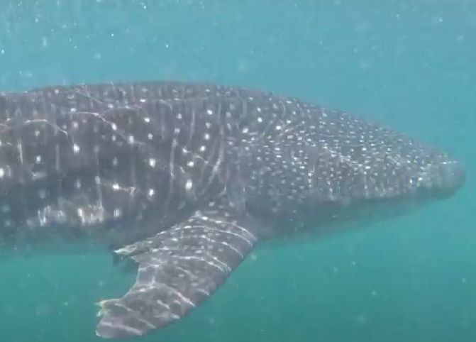 3752e5ff-e02d-4b56-be5d-df0dc1b794e8