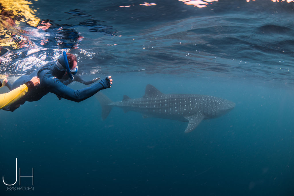 2618e0be-8a52-4f41-9ac8-c9eb71b1aee1