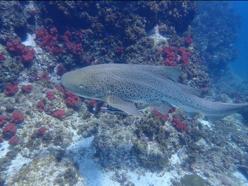 b60e7d30-42f9-4c08-a38c-7f8921560777