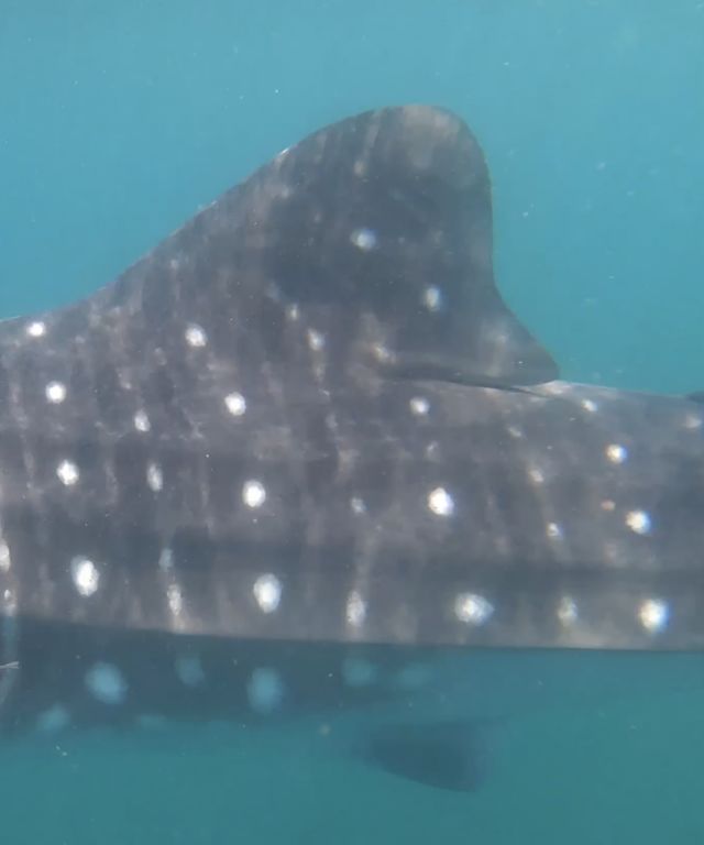 ac76fe0e-52d6-4311-adad-774a90e17809