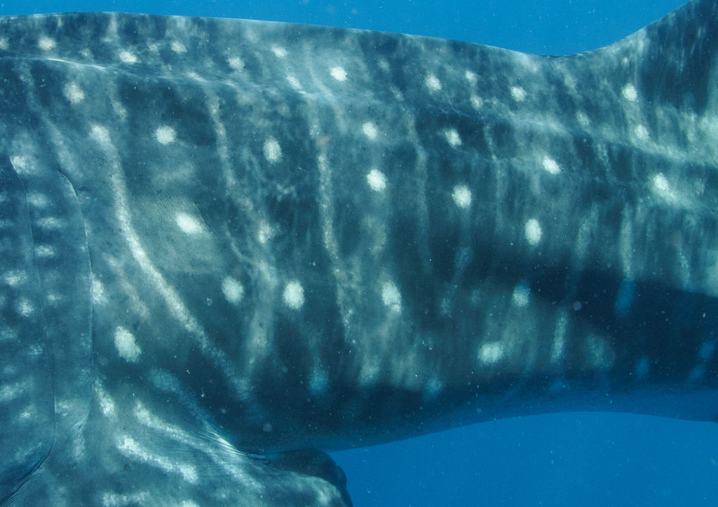 7a92bb16-7f62-4188-a27d-cee6f222fcd0