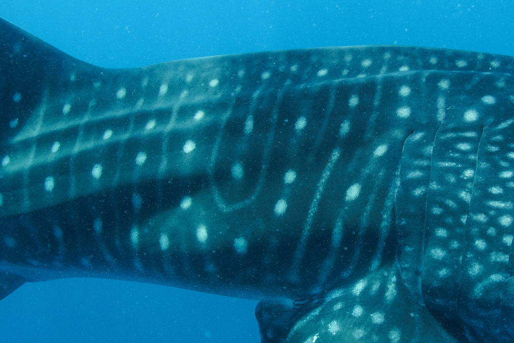 7a92bb16-7f62-4188-a27d-cee6f222fcd0