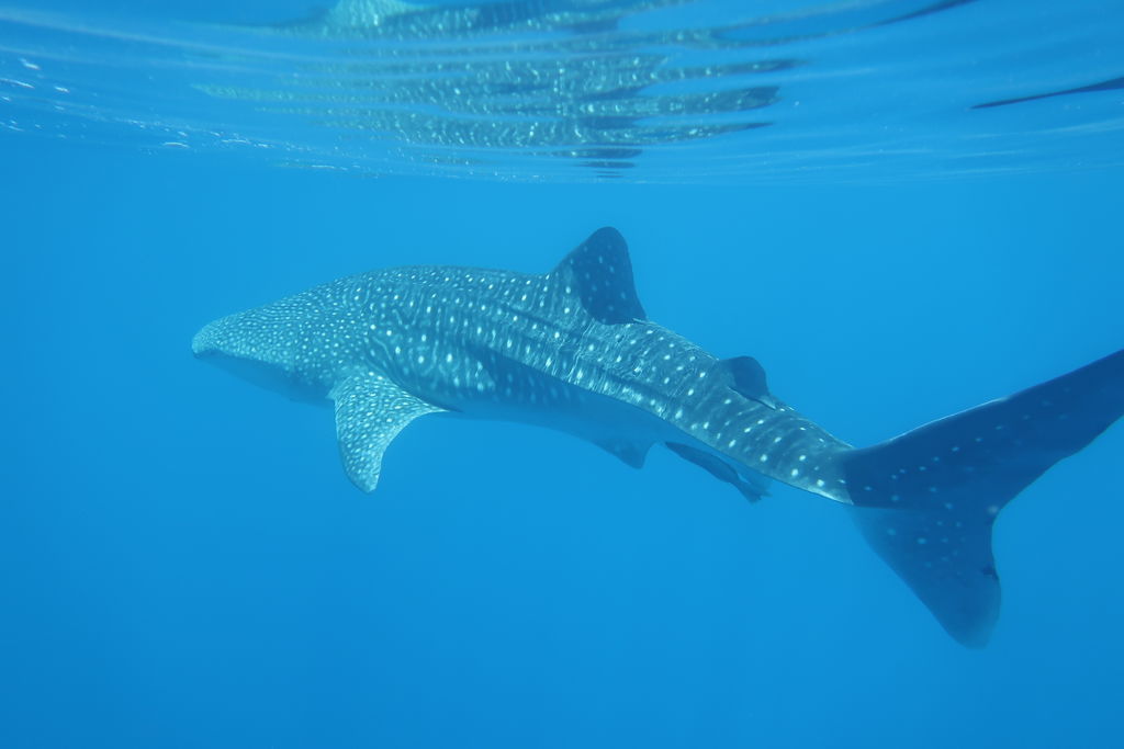 c6a23a57-5e07-4e9f-8fd0-5c0cb5e62f5f