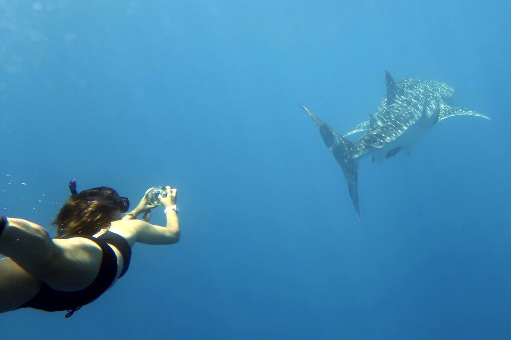 c6a23a57-5e07-4e9f-8fd0-5c0cb5e62f5f