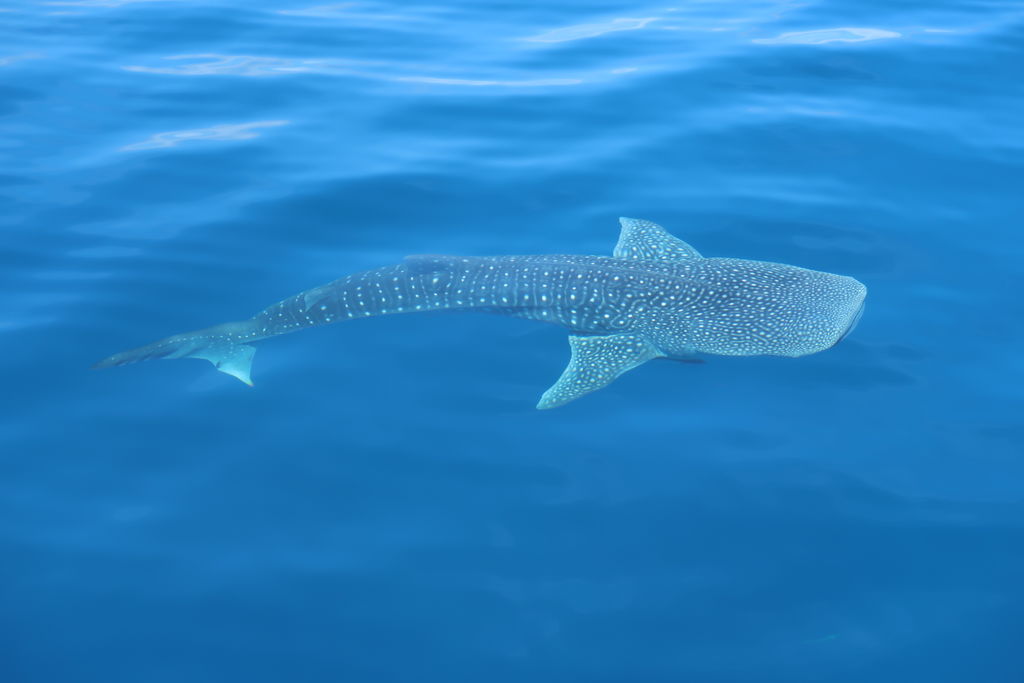 c6a23a57-5e07-4e9f-8fd0-5c0cb5e62f5f