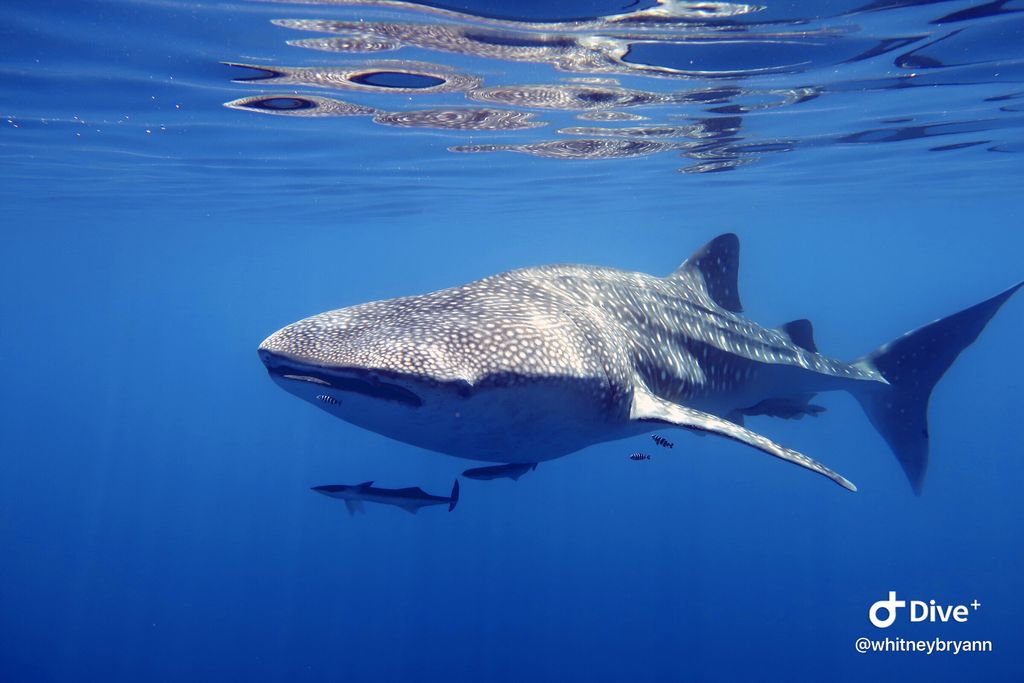 c6a23a57-5e07-4e9f-8fd0-5c0cb5e62f5f