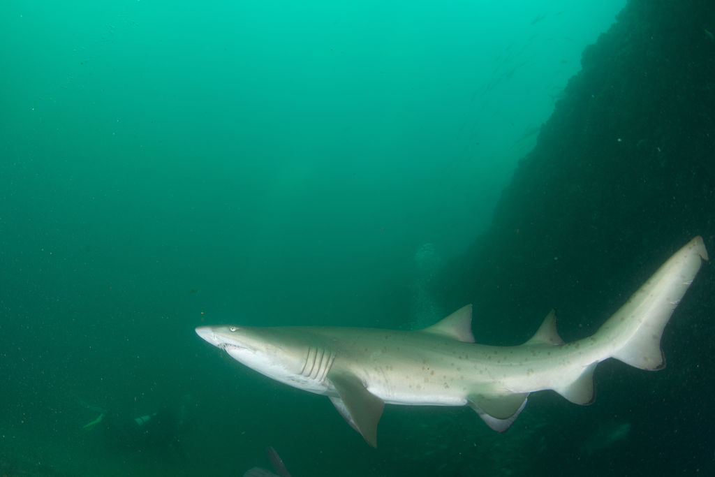 466bfa15-06fe-429b-95c3-5abdd5704bb3