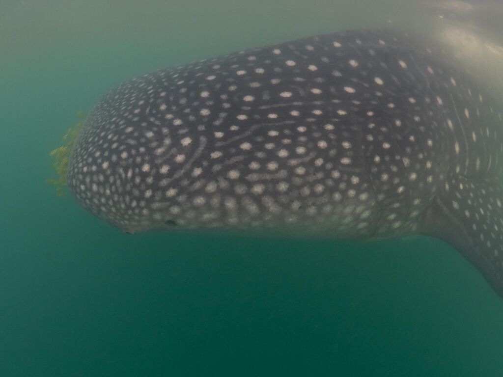 7f30ebd2-b887-4b92-93f7-3b0fa1dc52cc