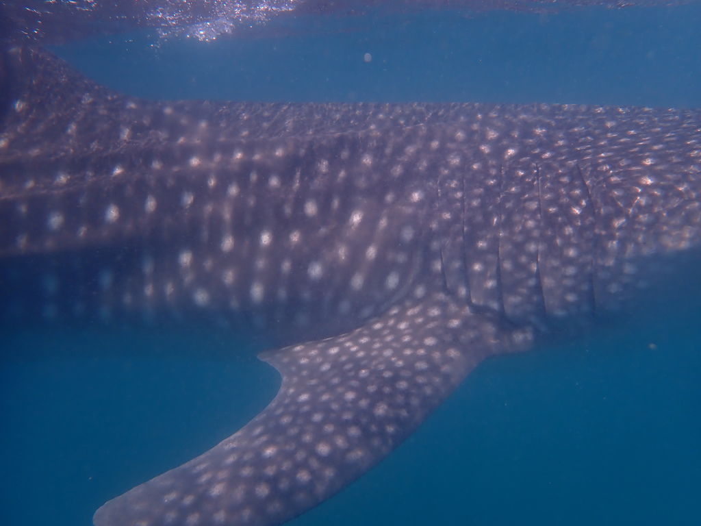 1cacf088-755f-4aac-9457-8215b6781468