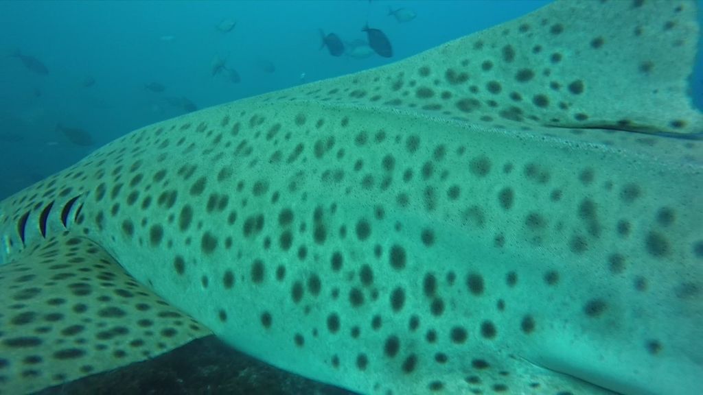 5b588ca3-a153-46fa-a98d-88bba62635ea