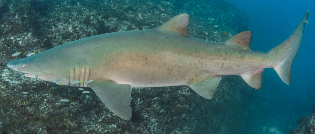 cbaac543-d5b4-4d3d-a85e-c5164655d8a0