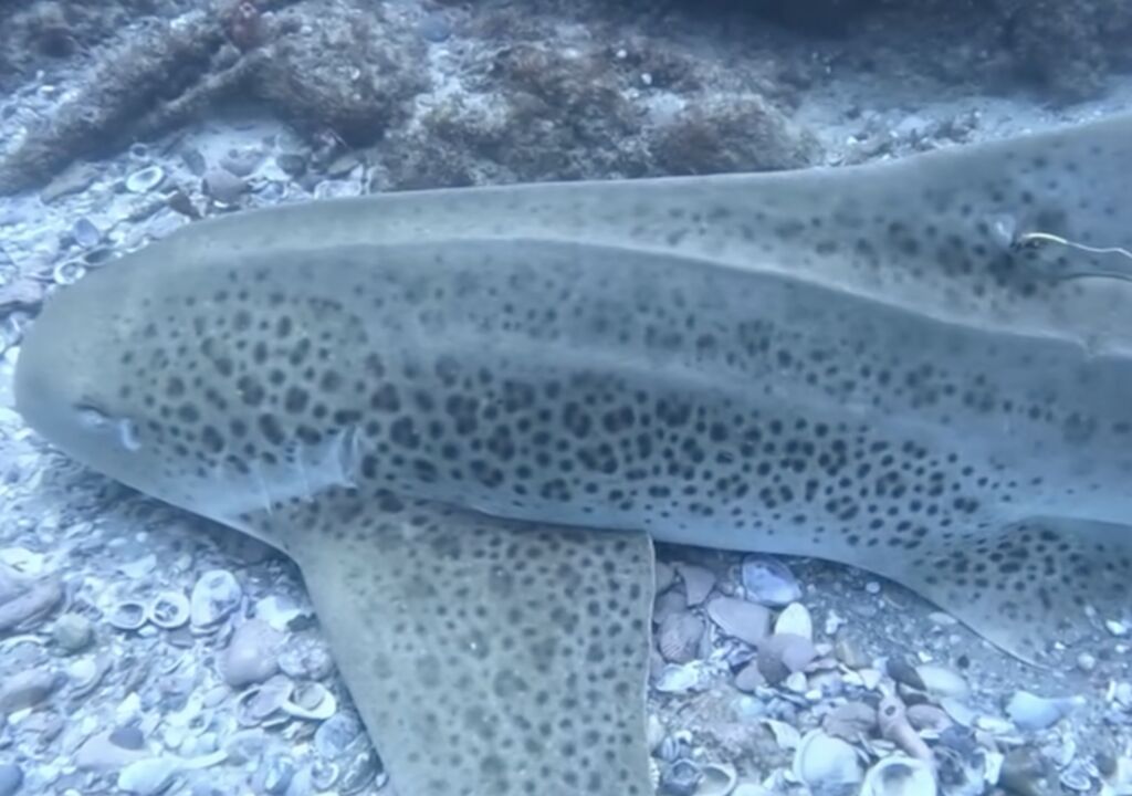 cc10e007-24ae-4580-8a54-80c3a5da1594