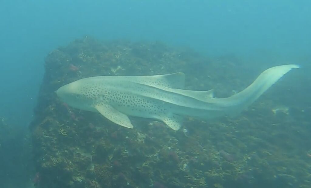 6a2bbd36-674f-46a5-ac56-951197cfdb43