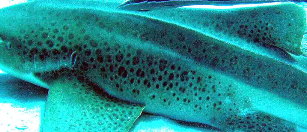 9ed8b762-f5b4-4391-9bb8-1d66f46258f1