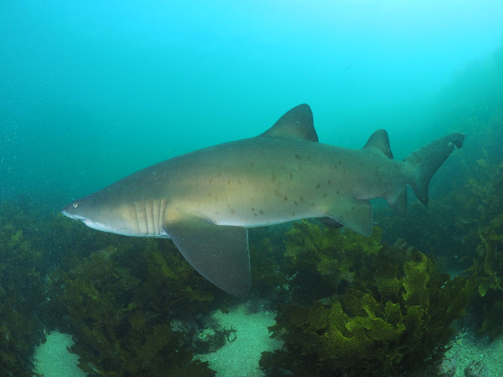 f52bab40-9978-4732-8360-43c0b16a9437