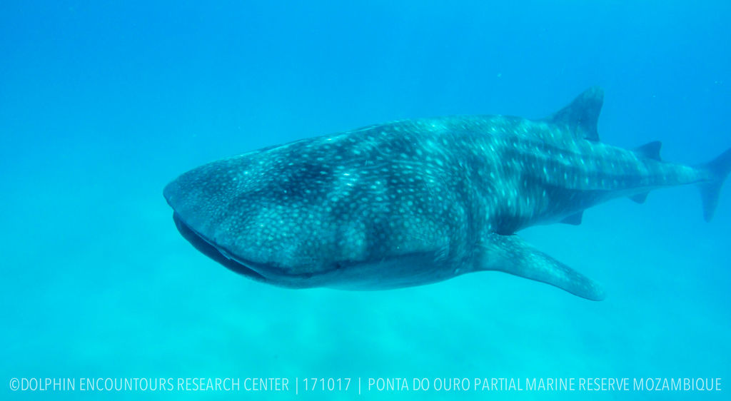 deb0d1aa-e6cc-4adb-8815-ca20b4c3ffcf