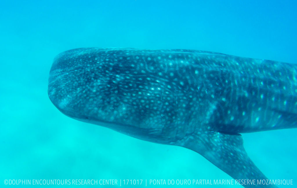 deb0d1aa-e6cc-4adb-8815-ca20b4c3ffcf