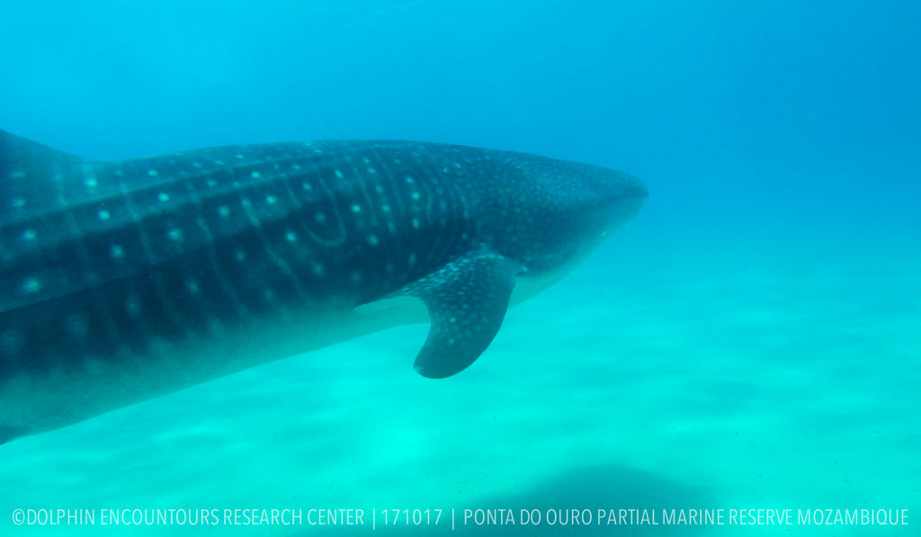 deb0d1aa-e6cc-4adb-8815-ca20b4c3ffcf