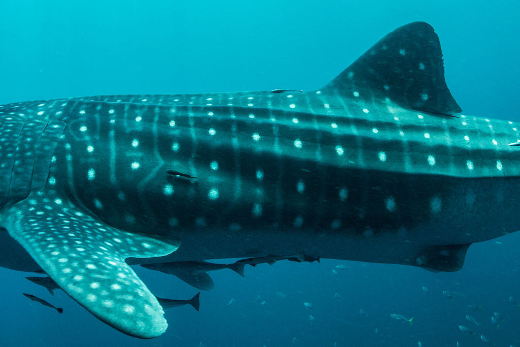 6a688ddb-da75-4551-80a4-a565f20b026d