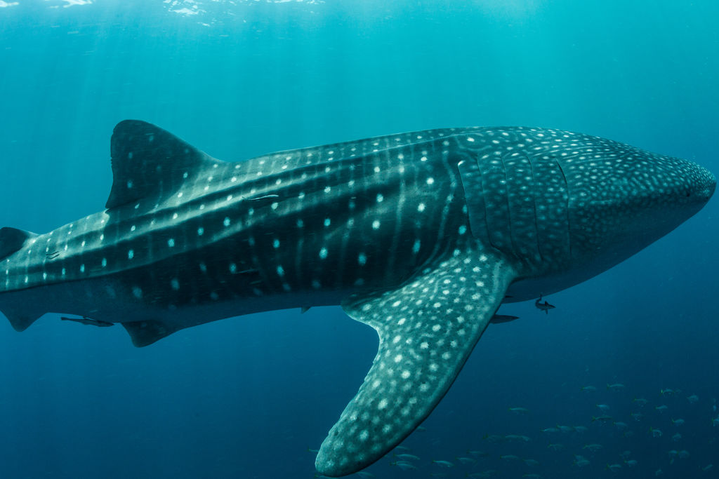 6a688ddb-da75-4551-80a4-a565f20b026d