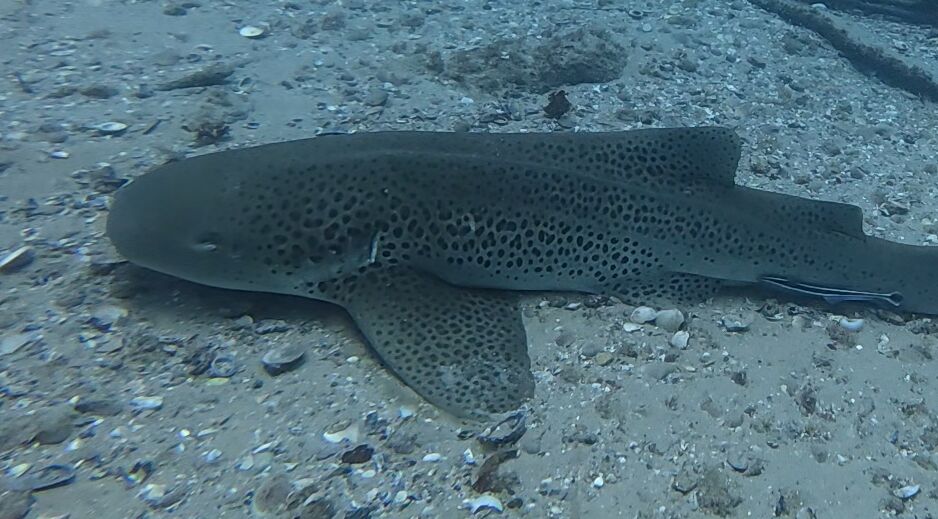 f1fb8ef6-7bec-4f46-a290-8131ddf6fec3