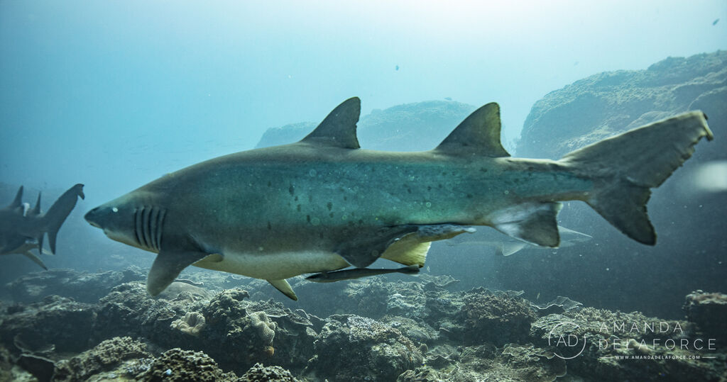 9afce2dc-b837-4b90-b535-73a15740cef6